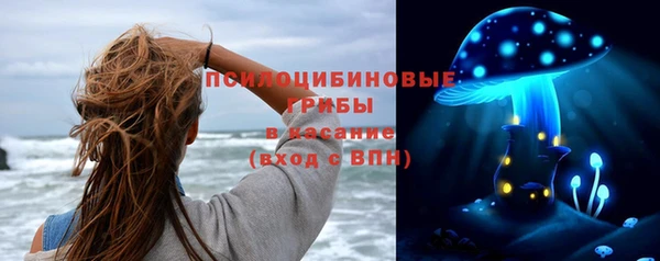 гидропоника Алзамай