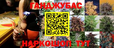 крисы Урус-Мартан