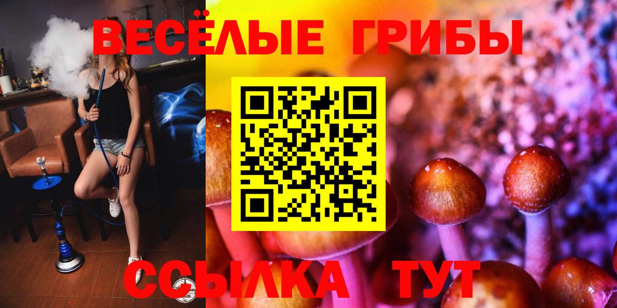 Псилоцибиновые грибы MAGIC MUSHROOMS Осинники