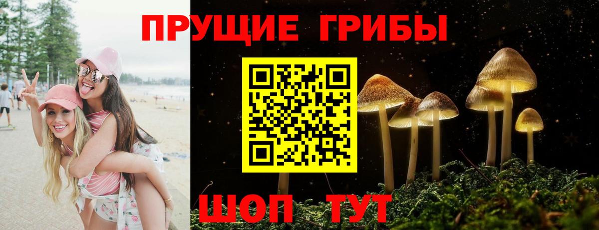 Псилоцибиновые грибы мицелий  Вход с VPN  Осинники  Галлюциногенные грибы прущие грибы 